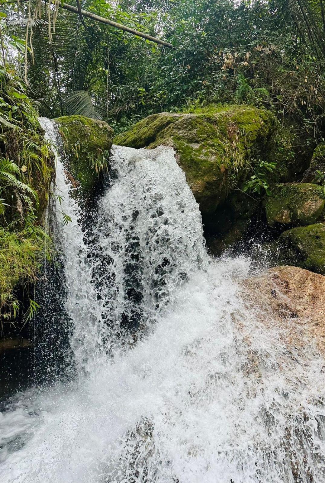 D'Flora Homestay Labuan Bajo Dış mekan fotoğraf