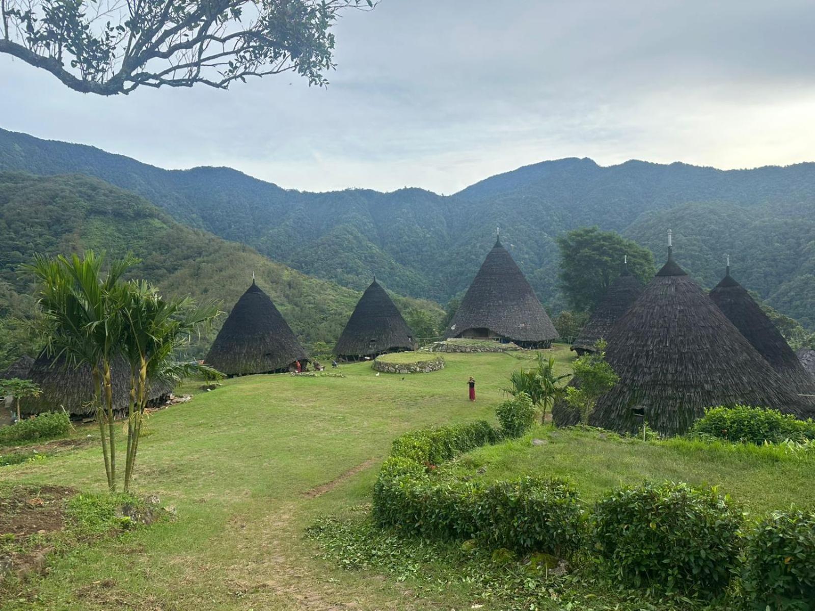 D'Flora Homestay Labuan Bajo Dış mekan fotoğraf
