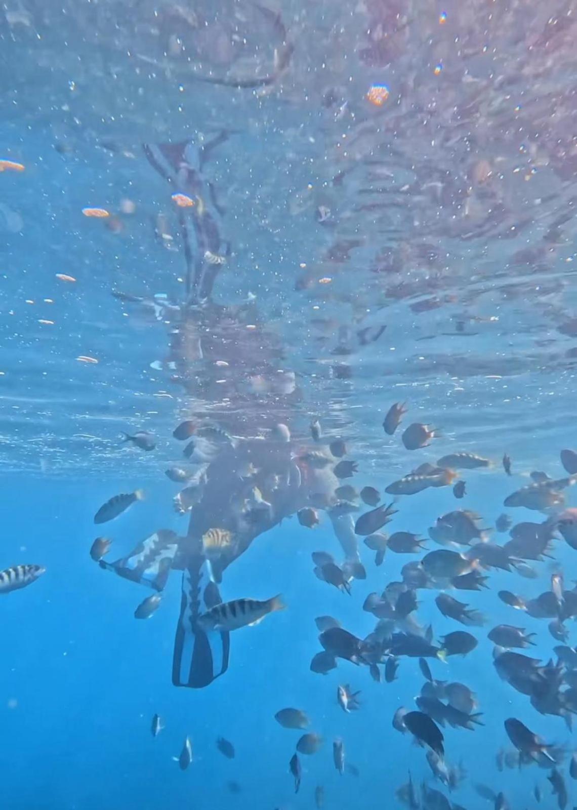 D'Flora Homestay Labuan Bajo Dış mekan fotoğraf