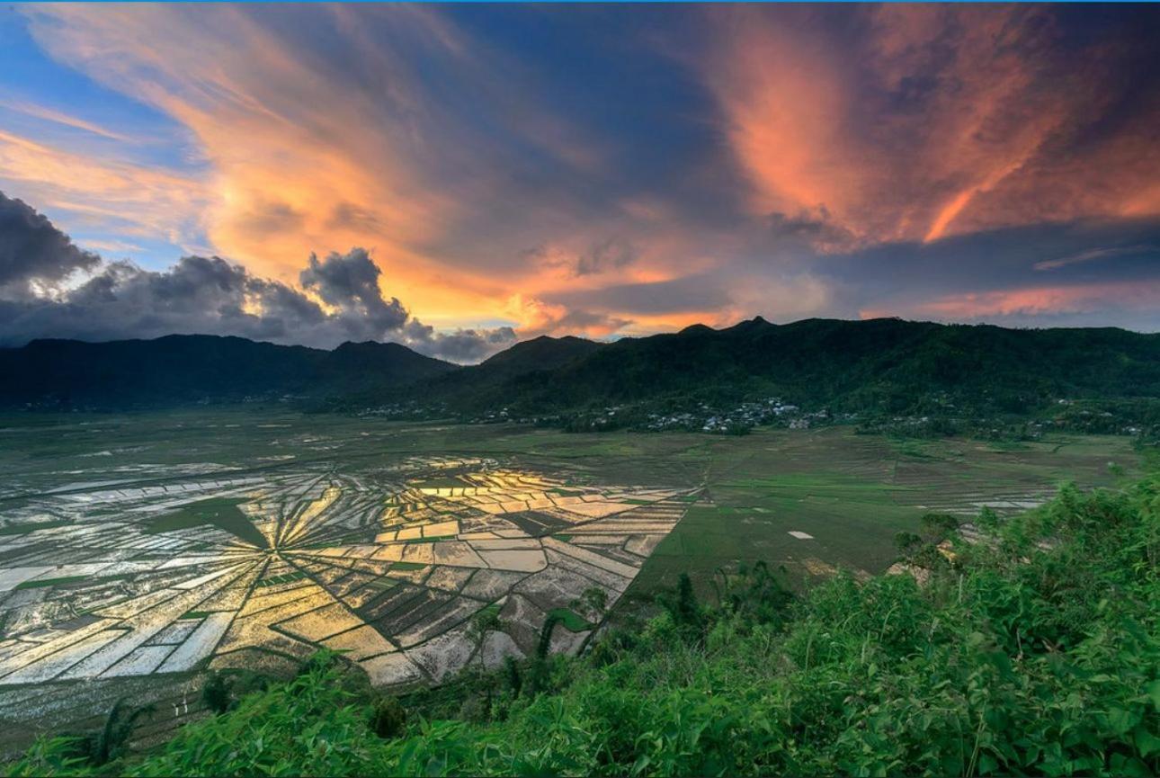 D'Flora Homestay Labuan Bajo Dış mekan fotoğraf