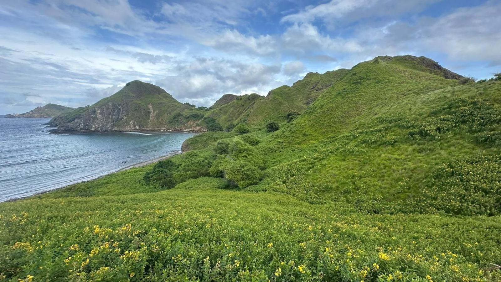 D'Flora Homestay Labuan Bajo Dış mekan fotoğraf