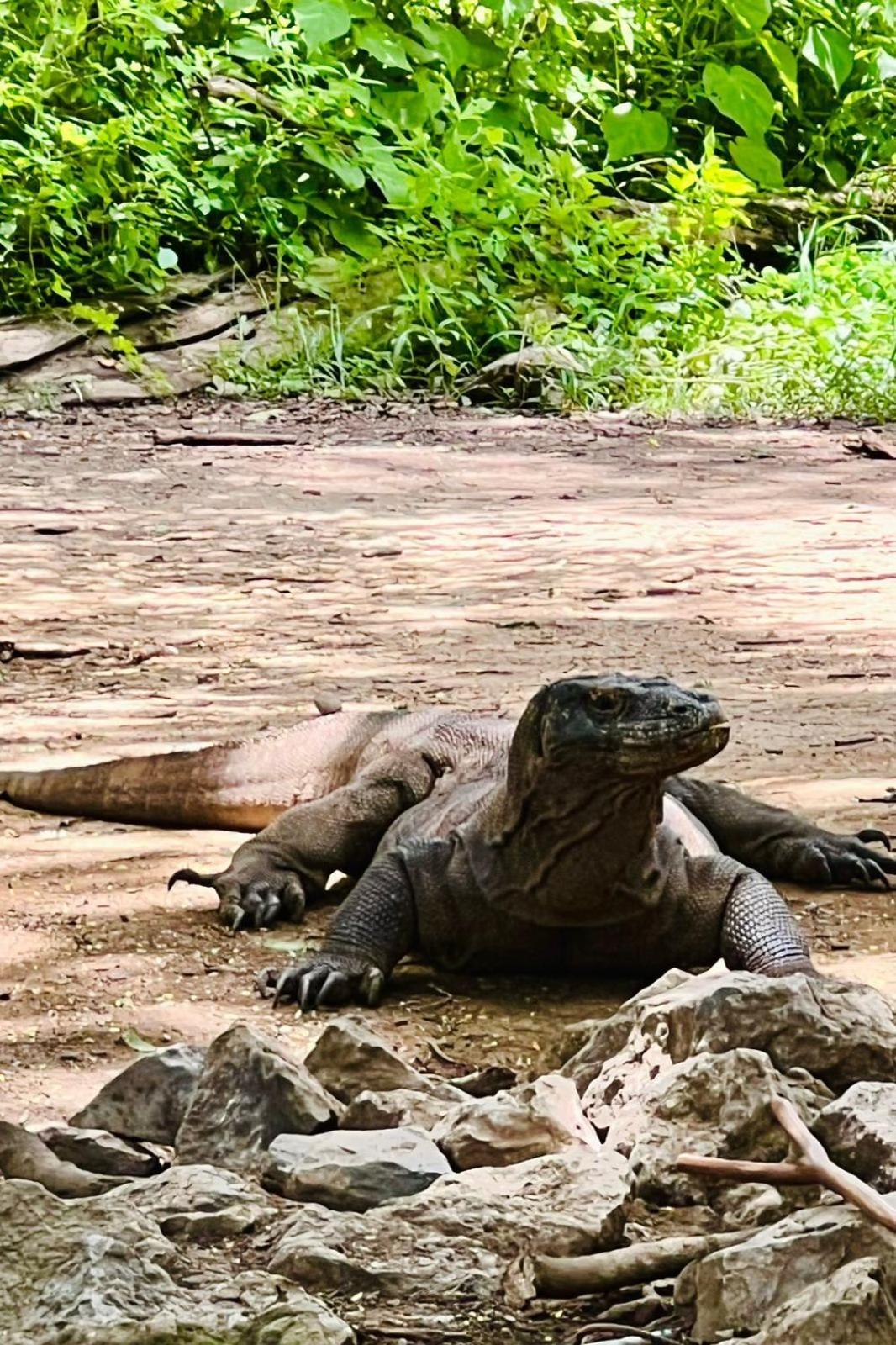 D'Flora Homestay Labuan Bajo Dış mekan fotoğraf