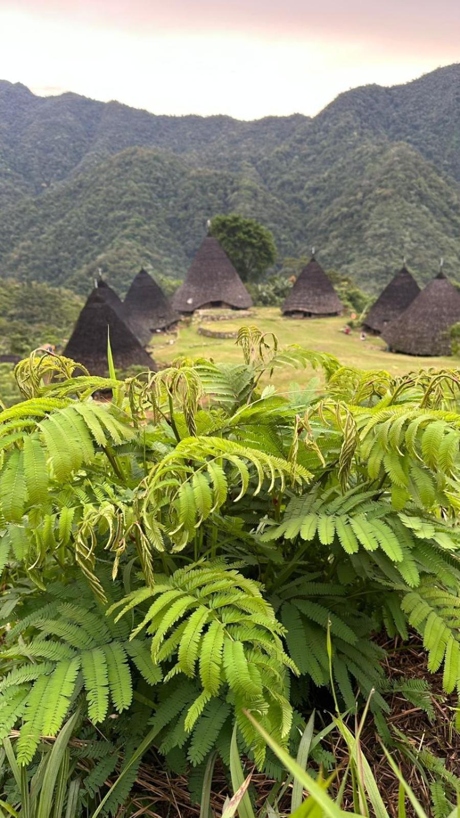 D'Flora Homestay Labuan Bajo Dış mekan fotoğraf